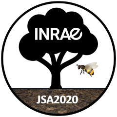 logo_JSA2020